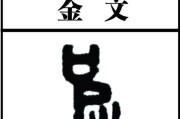 老虎出装铭文入门攻略（玩转英雄联盟，战无不胜！）