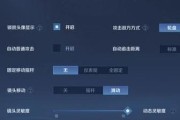 夏洛特（掌握夏洛特必备连招，破解战场密码）